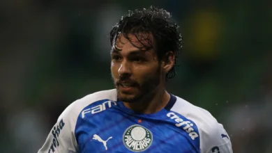 palmeiras goulart