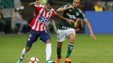 palmeiras
