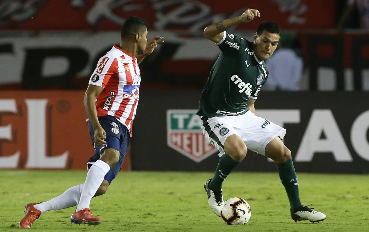 palmeiras