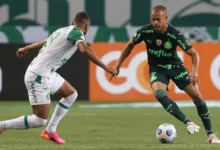 palmeiras x chapecoense