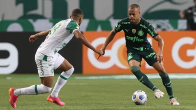 palmeiras x chapecoense
