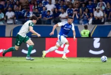 palmeiras