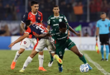 palmeiras