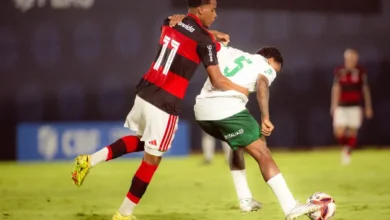 palmeiras