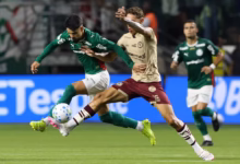 palmeiras