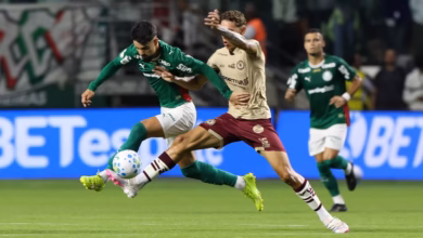 palmeiras