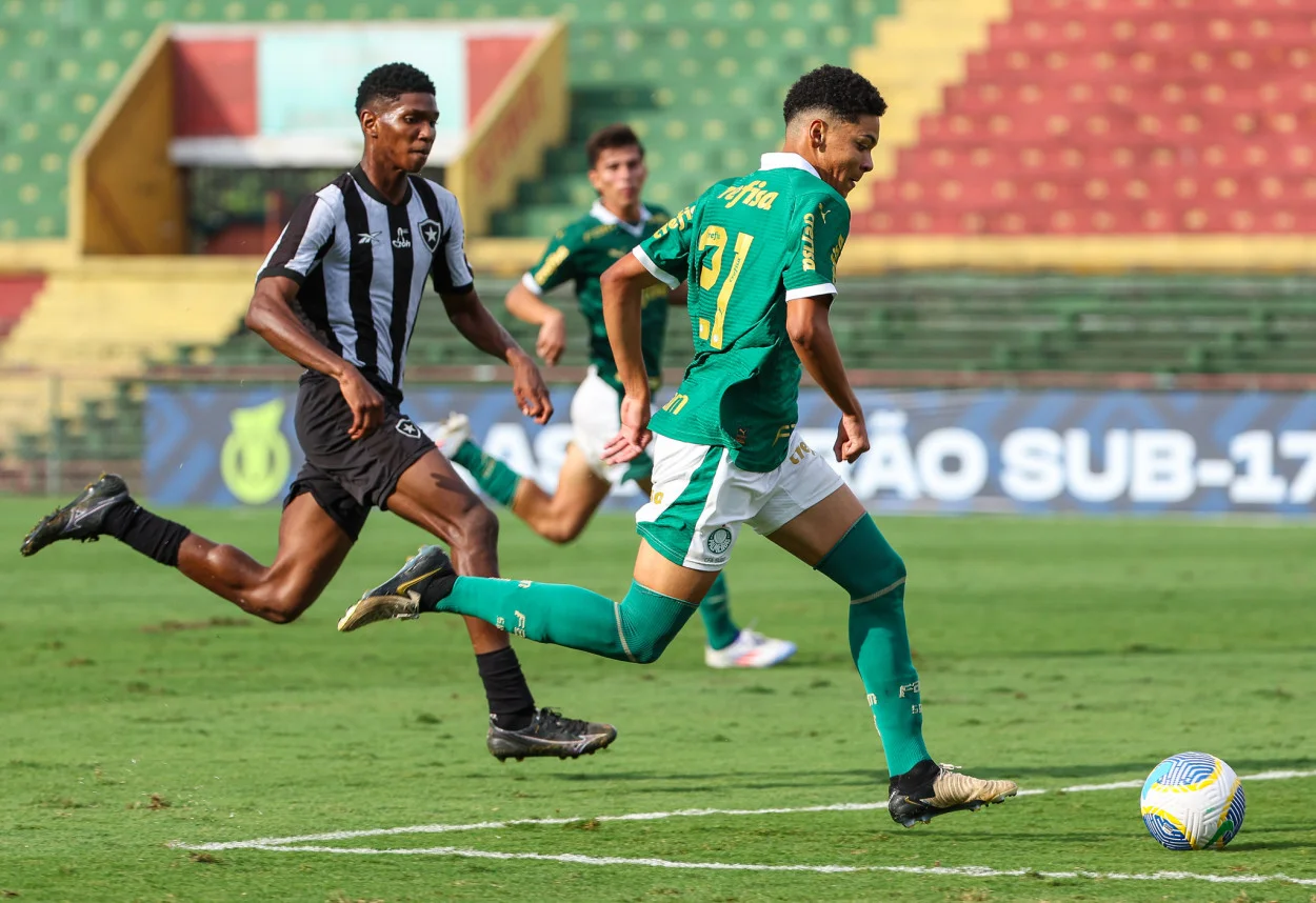 palmeiras