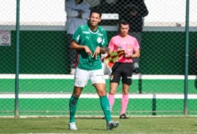 Palmeiras