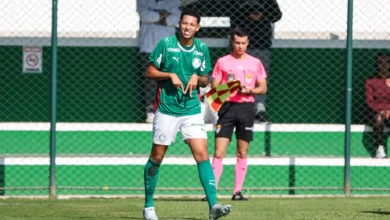 Palmeiras
