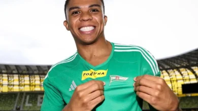 Camilo MENA PALMEIRAS