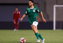 palmeiras