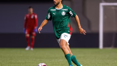 palmeiras