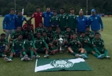 palmeiras