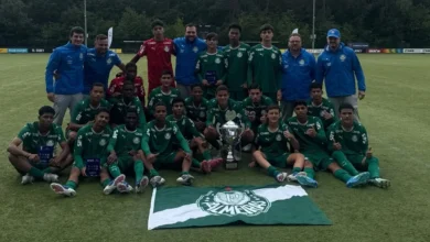 palmeiras