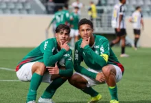 palmeiras