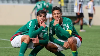 palmeiras