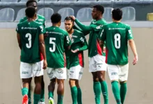 palmeiras