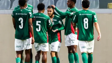 palmeiras