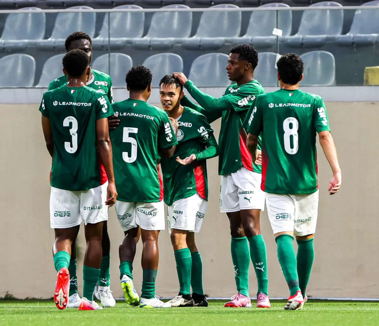 palmeiras