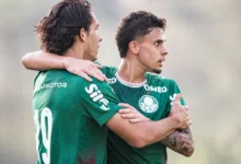 palmeiras
