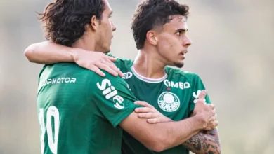 palmeiras