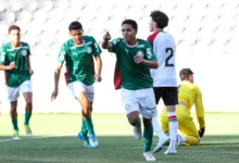 palmeiras sub-17