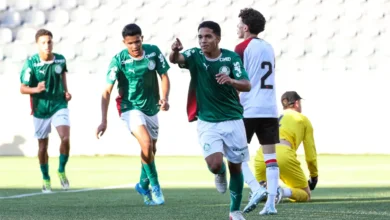 palmeiras sub-17