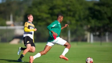 palmeiras