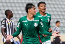 palmeiras