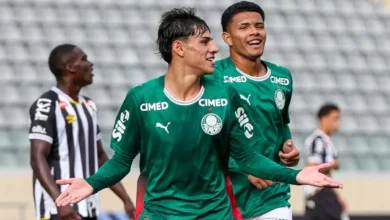 palmeiras