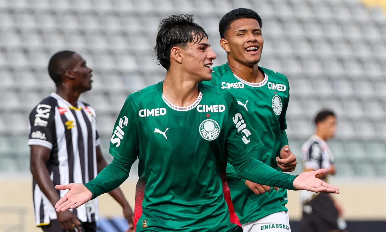 palmeiras
