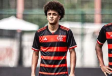 ryan roberto palmeiras