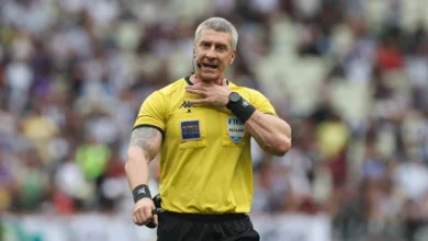 daronco palmeiras