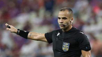 palmeiras arbitro stefano