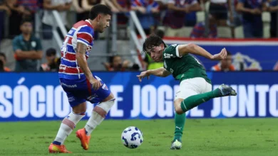 palmeiras x fortaleza