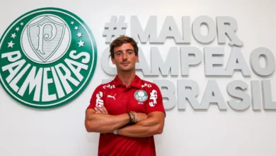 palmeiras joao correia
