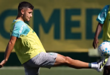 palmeiras