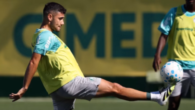 palmeiras