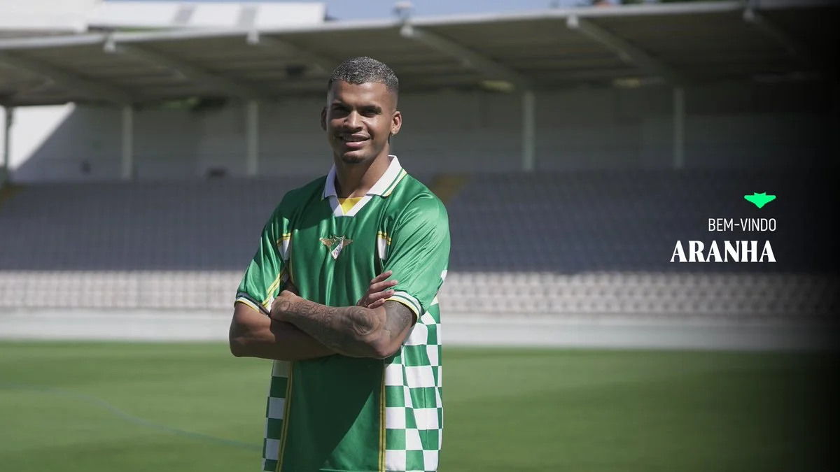 palmeiras aranha