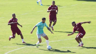palmeiras