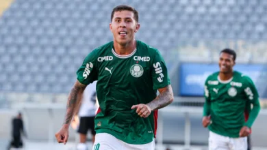 palmeiras sub-20