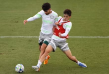 palmeiras