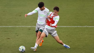 palmeiras