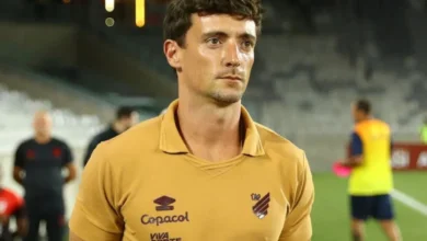 Joao Correia Palmeiras