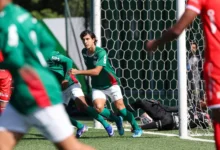 palmeiras sub-20