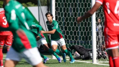 palmeiras sub-20