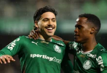 palmeiras