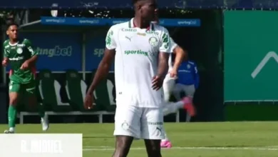 palmeiras