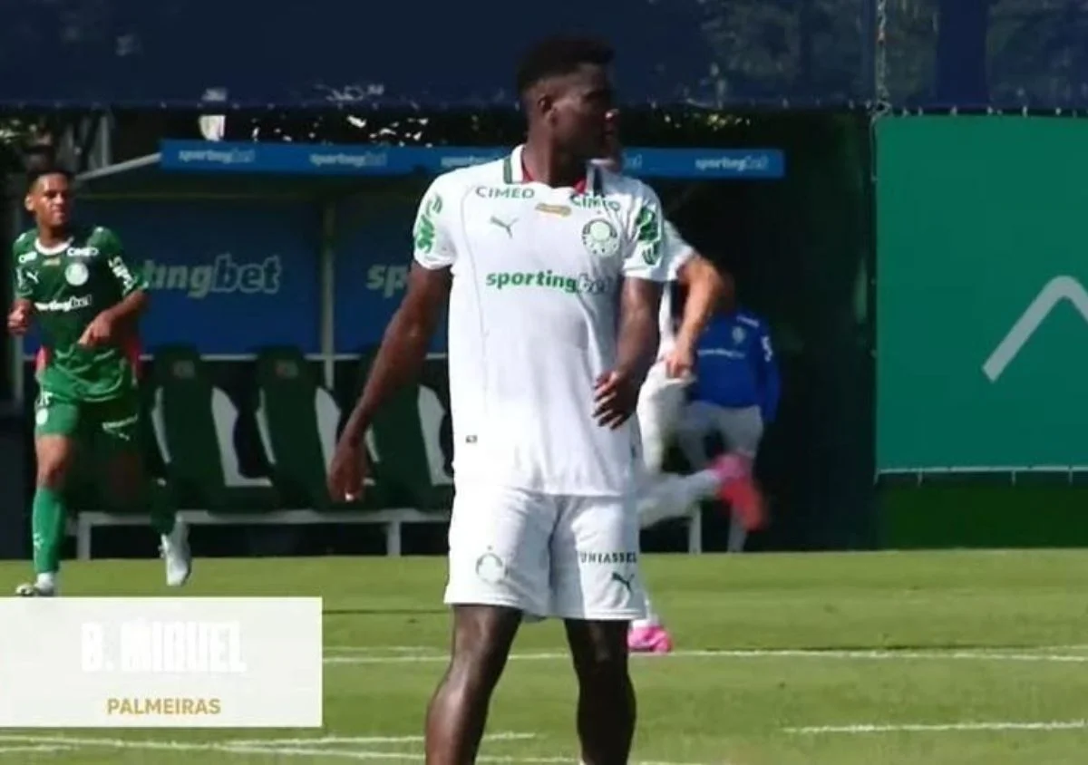 palmeiras