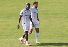 miguel palmeiras